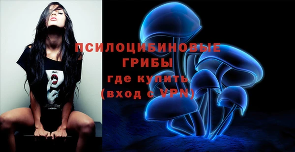 дмт Кулебаки
