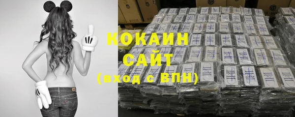 молекула духа Краснослободск